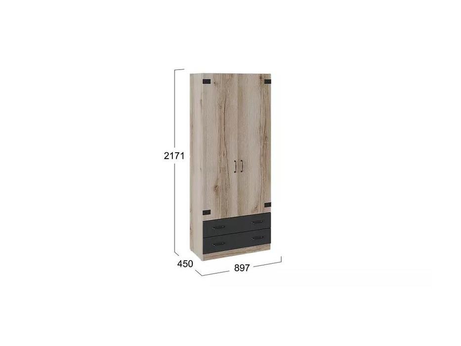 шкаф 2 дверный для одежды комбинированный Окланд Triya  [ТД-324.07.22] дуб
